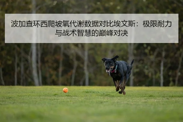 波加查环西爬坡氧代谢数据对比埃文斯：极限耐力与战术智慧的巅峰对决